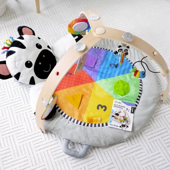 Play mat Baby Einstein-3